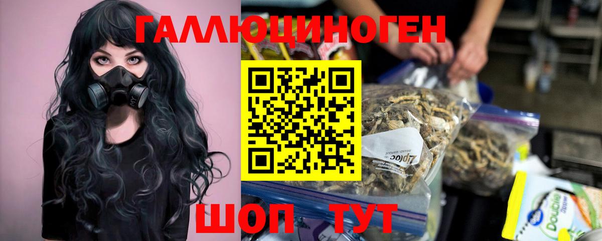Галлюциногенные грибы прущие грибы Дзержинский