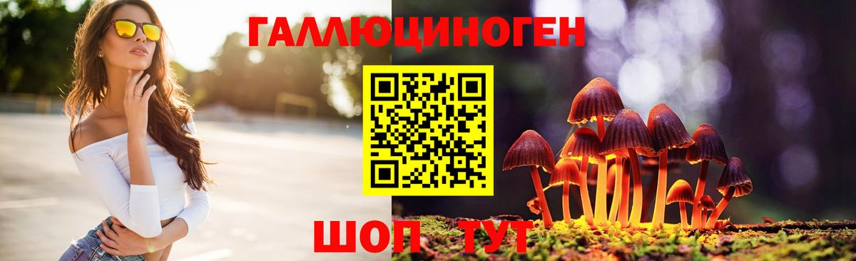 Дзержинский  Галлюциногенные грибы ЛСД  Вход с VPN 